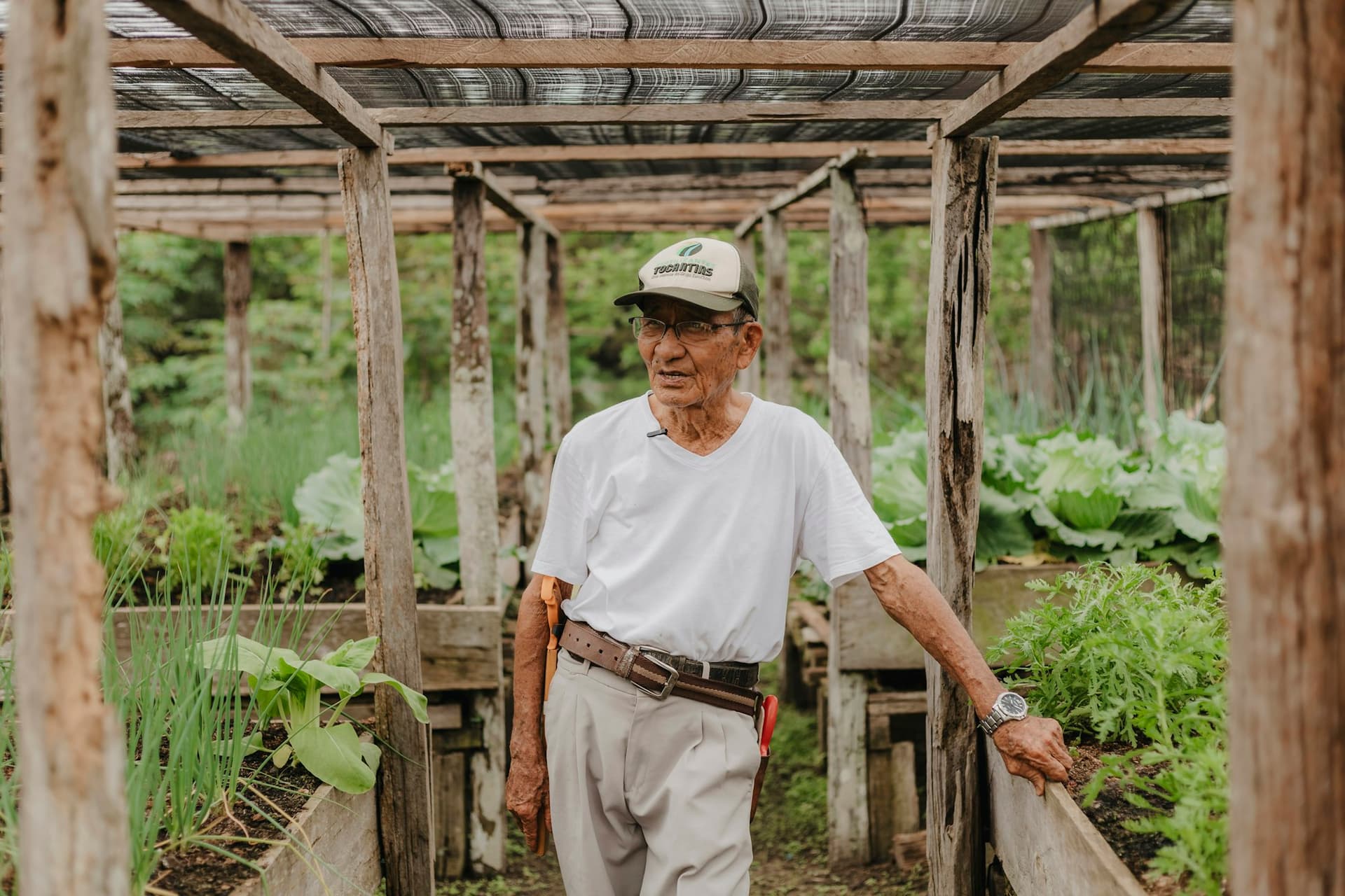 An older man walking through a leafy allotment garden